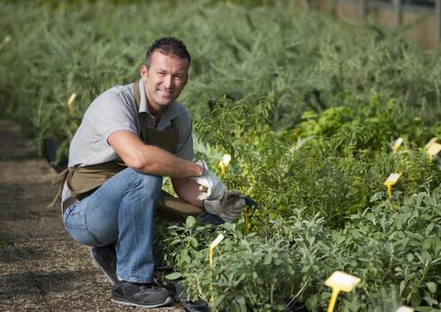Záhradník - pestovateľ jedlých húb, aromatických a liečivých rastlín